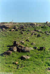 ha70.jpg (44855 bytes)