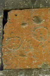 ep29.jpg (42714 bytes)