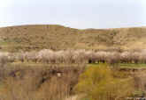 a40.jpg (53446 bytes)