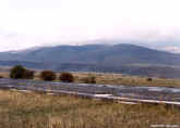 lt6.jpg (45443 bytes)